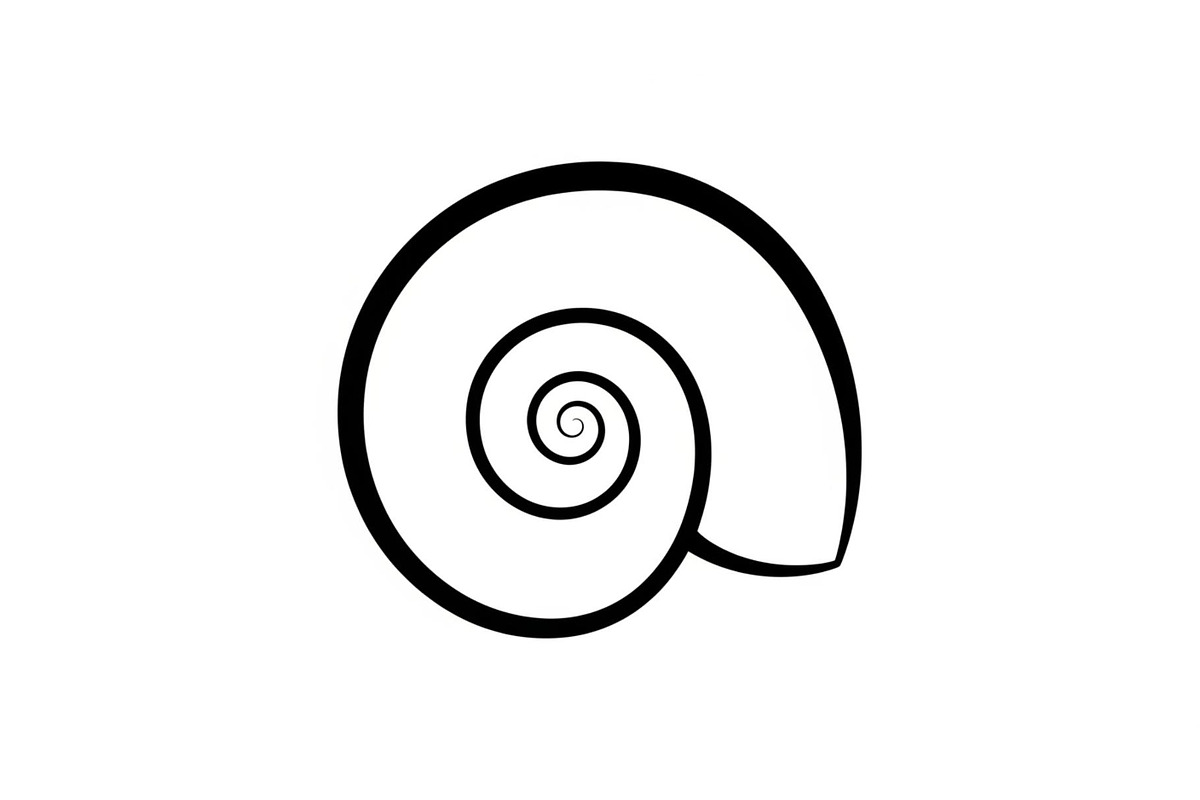 Spiral Seashell SVG Bundle, an Illustration by Gaye Art (Photo 6 of 31)
