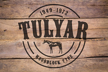 Tulyar Woodblock Font