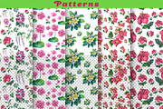 Philippine Native Flowers watercolor, a Decorative Illustration by FITALARTSNEDIGI (Thumbnail 4 of 8)