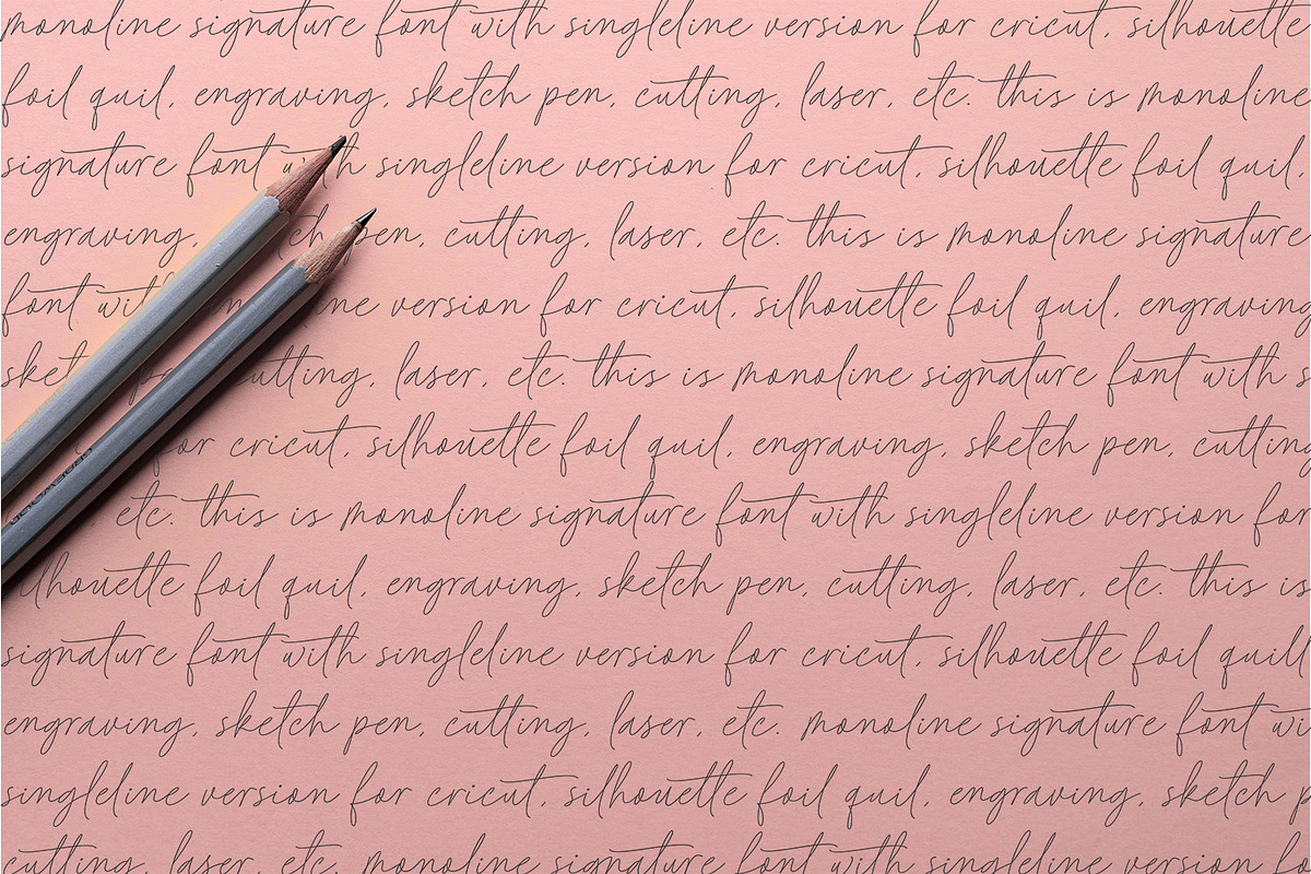 Baked Salmon - Monoline Script Font, a Script Font by Subectype Studio (Photo 5 of 9)