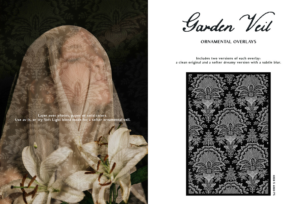 Garden Veil: Lace Overlays, a Texture Graphic by Purple (Photo 12 of 16)