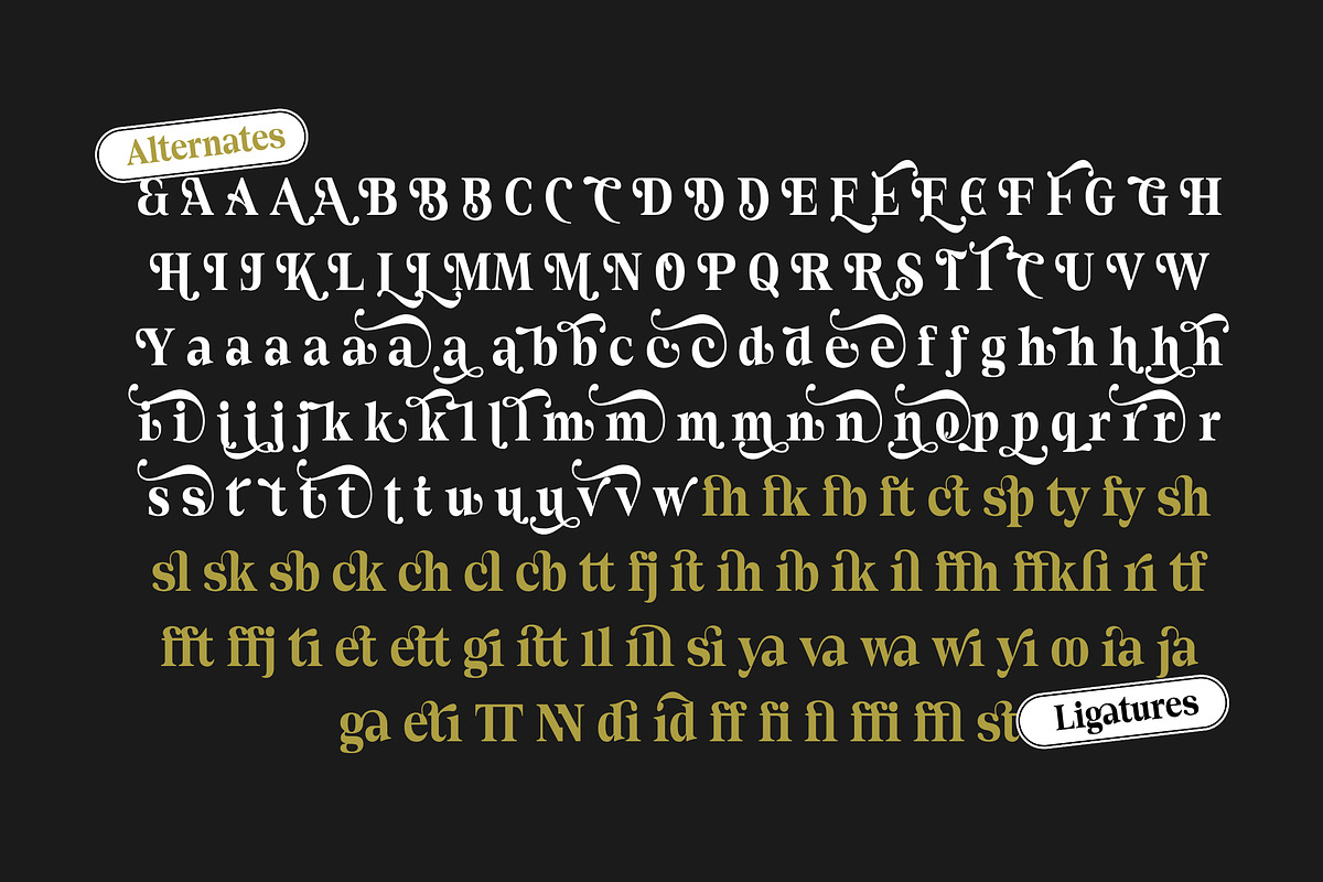 Block Quote Serif, a Serif Font by Dora Typefoundry (Photo 8 of 10)