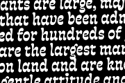 Fonty - All Family, a Font by Rodrigo Typo (Thumbnail 6 of 8)
