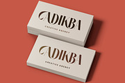 Noresa Modern Editorial Serif, a Serif Font by timelesstype.co (Thumbnail 9 of 20)