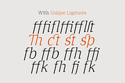 Cirvia Timeless & Fresh Serif Family, a Serif Font by Lettertype Studio (Thumbnail 6 of 15)