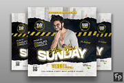 Club Party Flyer, a Flyer Template by FlyerPig (Thumbnail 1 of 3)