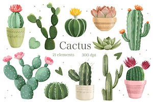 Watercolor Cactus, Succulent Clipart