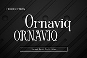 Ornaviq, a Sans Serif Font by Wow Magic (Thumbnail 1 of 3)