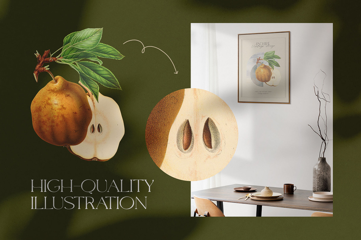 Vintage Botanica | Collage Creator, an Object Graphic by Leleka.Store (Photo 15 of 15)