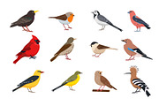 Bird collection, an Animal Illustration by Elena Istomina (Thumbnail 4 of 7)