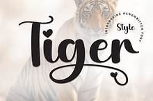 Tiger | Script Font