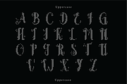 Petaliny | A Embroidery Font, a Handwritten Font by Berdansabersama (Thumbnail 2 of 9)