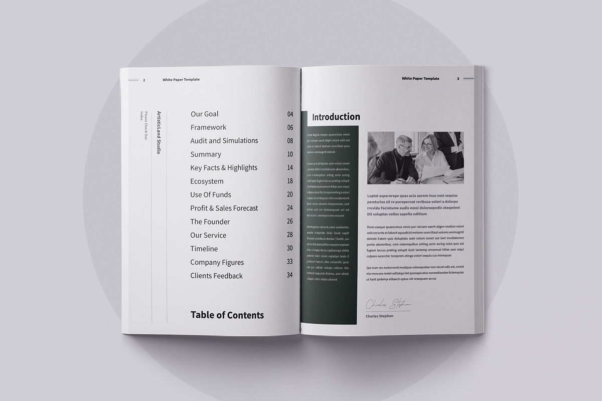 White Paper | Canva, Word, PPTX, InD, a Brochure Template by ArtisticLand (Photo 4 of 14)