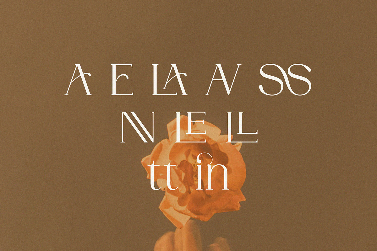 DENOVA // Elegant Luxury Font, a Serif Font by ToniStudio (Photo 9 of 10)