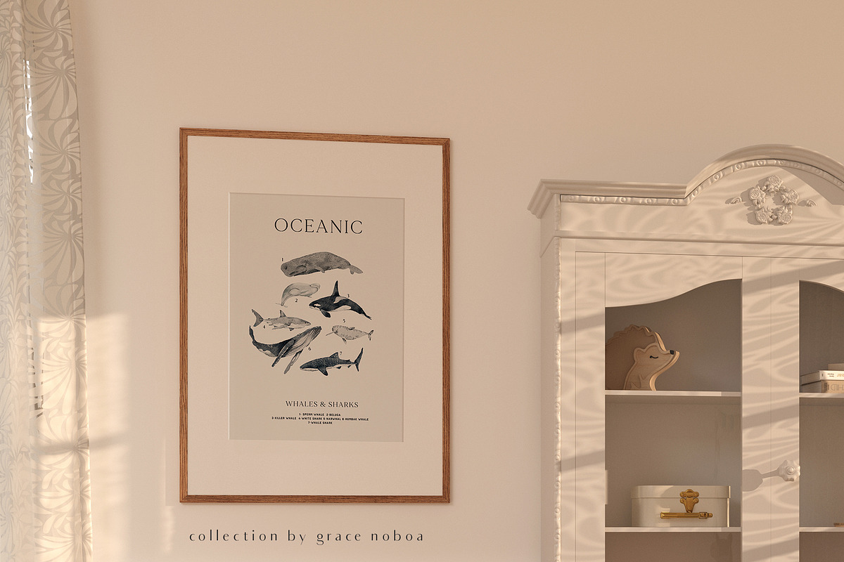 OCEAN Undersea Coral reef animals, an Animal Illustration by Grace Noboa Illustrations (Photo 10 of 15)