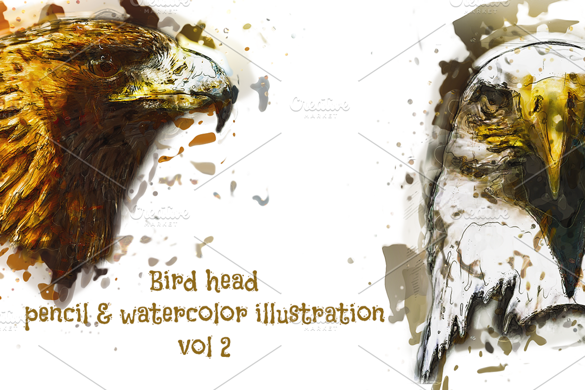 Bird Head Pencil & Watercolor vol 2, an Animal Illustration by Sahade Studio (Photo 1 of 3)