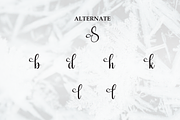 Snowflake | Script Font, a Handwritten Font by Scratchones (Thumbnail 8 of 9)