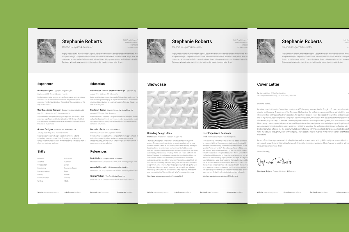Big Set of Professional Resumes 1, a Resume Template by DEFNST (Photo 13 of 14)