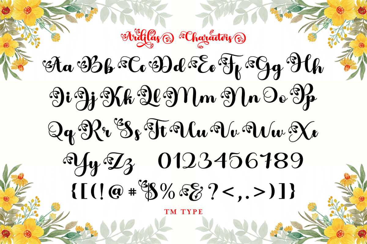 Ardilas, a Script Font by TM Type (Photo 7 of 10)