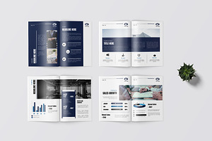 Biru - Annual Report Template