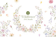 Wildflower Watercolor PNG Bundle, a Decorative Illustration by Arslan (Thumbnail 1 of 16)