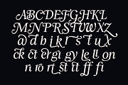 Zachariah Calligraphic Italic Serif, a Serif Font by Viswell (Thumbnail 9 of 10)