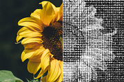 Text Drawing Effect - PS Action, an Action Add-On by Viktor (Thumbnail 3 of 7)
