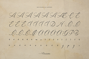 Sanluigi Nothaylor Calligraphy Font, a Script Font by Denustudios (Thumbnail 12 of 12)