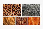 Wildlife Animal Textures Background, a Texture Graphic by MergeIdea (Thumbnail 3 of 3)