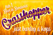 Ginger John Brush Script Family, a Script Font by Fenotype (Thumbnail 10 of 11)