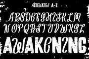 Stones Crush - Handrawn Grunge Font, a Sans Serif Font by NuType (Thumbnail 3 of 12)