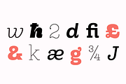 Hernández Niu, a Slab Serif Font by Latinotype (Thumbnail 13 of 17)