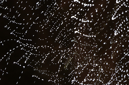 Abstract Red Light 1 preview 6