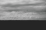 Mood collection, a Photo by Alekseyliss (Thumbnail 4 of 21)