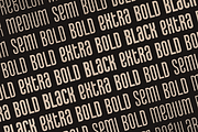 Proforma – Display & Script Font Duo, a Script Font by VP Fonts (Thumbnail 20 of 21)