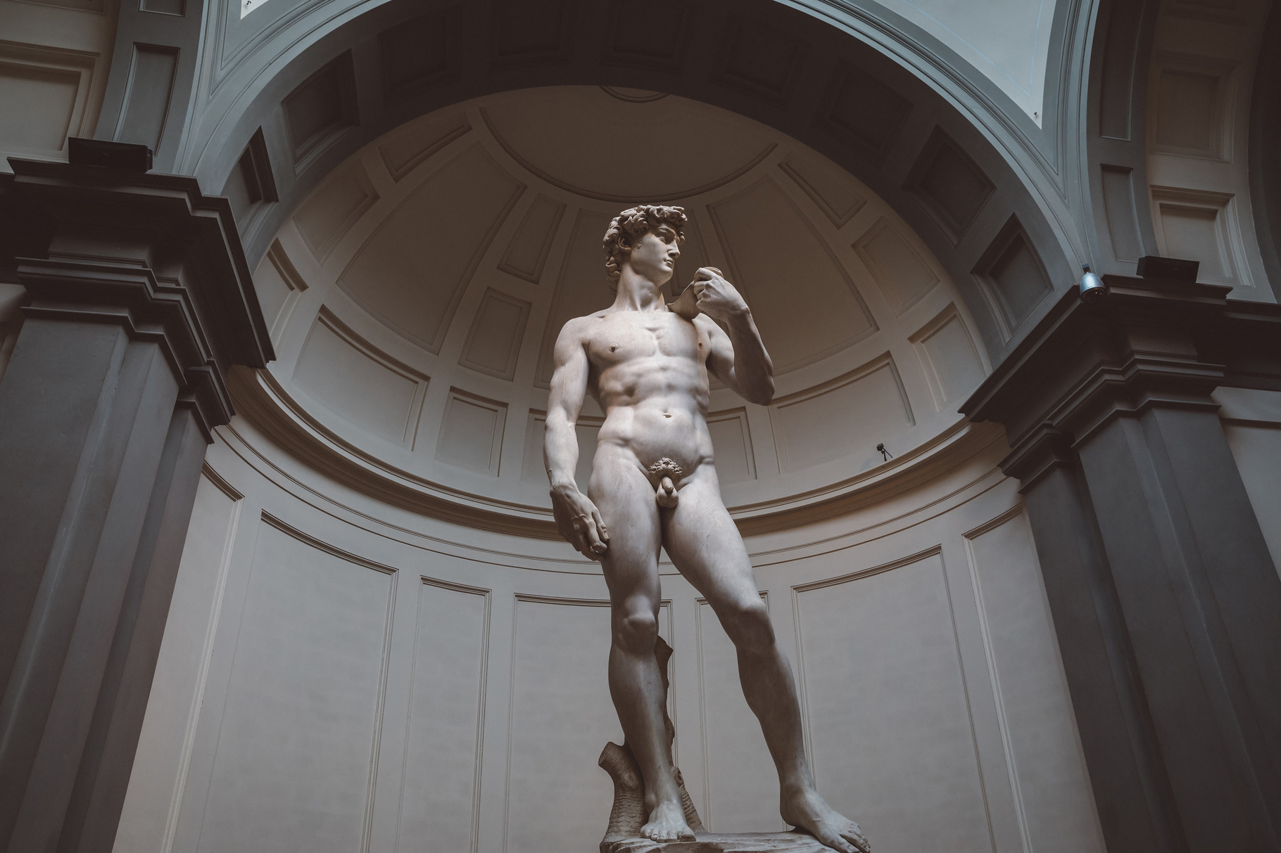 David by michelangelo featuring academy, anatomy, and ancient, an ...