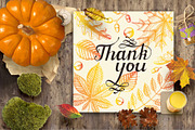 Autumn leaves. Vector Collection, an Illustration by Tabiti (Thumbnail 9 of 9)