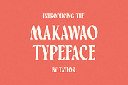 The Sand Made Font Bundle, a Handwritten Font by Taylor Penton (Thumbnail 4 of 5)