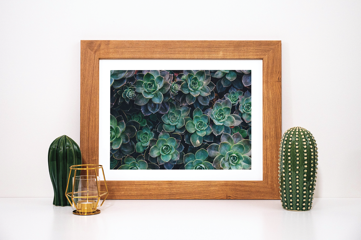Frame Mockup Bundle - Monstera, a Household Mockup by Saguaro Digital (Photo 6 of 9)