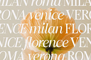 Figo Shiftz - Editorial Serif & Sans, a Serif Font by Propertype (Thumbnail 14 of 26)