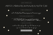 Rhapsody Font., a Script Font by Red Ink (Thumbnail 5 of 8)