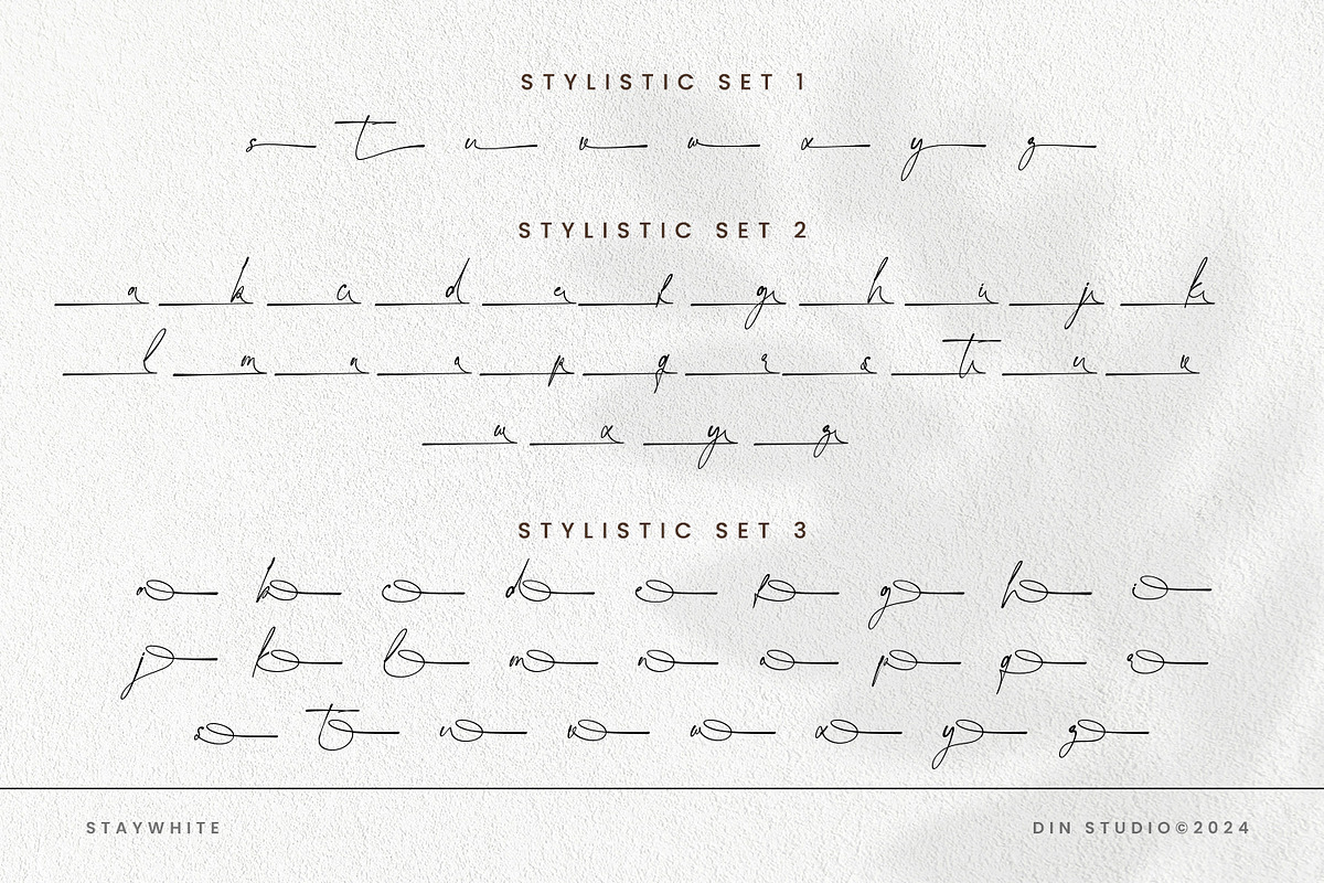 Staywhite, a Script Font by din-studio.com (Photo 10 of 12)