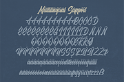 Heiback Script Font, a Script Font by Naufal Labs (Thumbnail 14 of 15)
