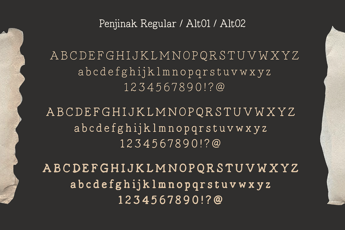 Penjinak Typewriter, a Serif Font by 24Design Studios (Photo 5 of 6)