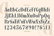 Fiably Manor | Modern Display Serif, a Serif Font by Denustudios (Thumbnail 11 of 13)
