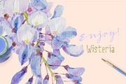 Wisteria - Design Pack, an Illustration by watercolorwild.graphics (Thumbnail 7 of 7)