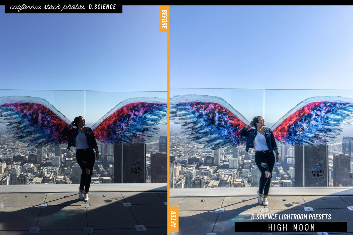 200+ California Stock Photo Bundle, a Business Photo by Template Monkey @dscience (Photo 29 of 38)