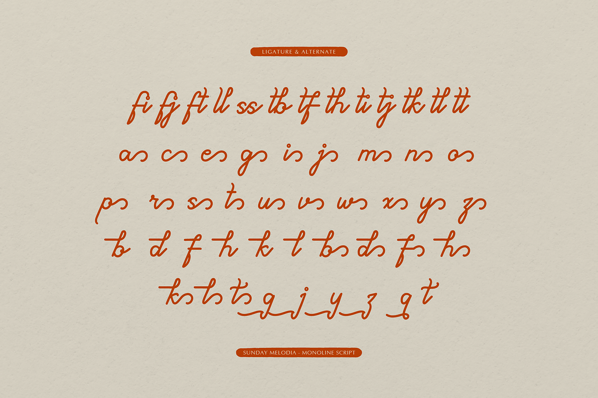 Sunday Melodia | Monoline Script, a Script Font by gracetype_studio (Photo 11 of 12)