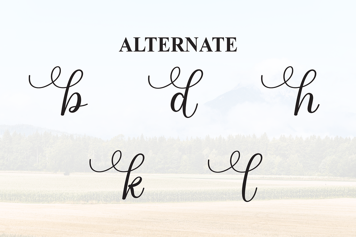 Endfield | Script Font, a Handwritten Font by Scratchones (Photo 8 of 9)