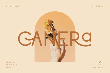 Canera - Simple Elegant Typeface, a Sans Serif Font by Creative Corner